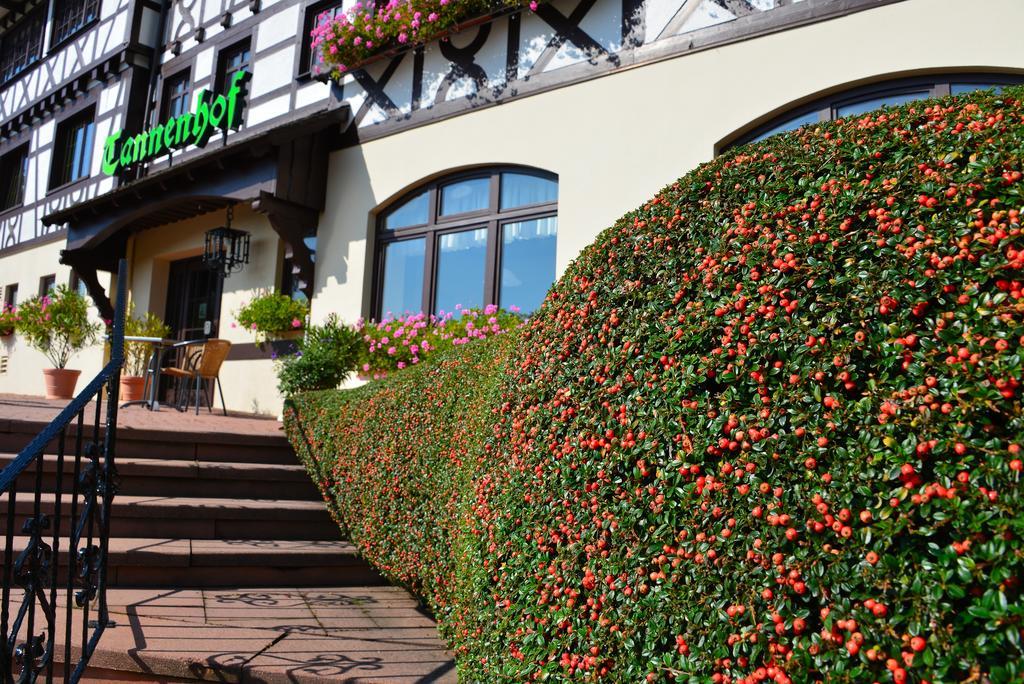 Relaxhotel Tannenhof Sasbachwalden Εξωτερικό φωτογραφία